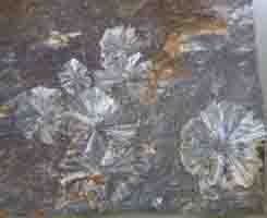 vantasselite-(coll & photo JDV)